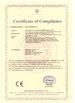 Китай Kingsine Electric Automation Co., Ltd. Сертификаты